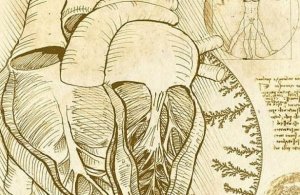 Ученым удалось раскрыть смысл 500-летнего рисунка Леонардо Да Винчи