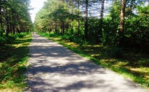 Новосибирцев хотят заставить платить за посещение парка