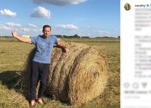 Отслежен весь маршрут Навального перед отравлением: он купался