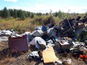 ОНФ в Республике Коми призвал власти ликвидировать гигантские свалки в зеленых зонах Печорского района