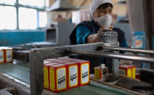 Генеральная прокуратура провела проверку законности приватизации «Башкирской содовой компании» (БСК), в результате которой государство потеряло контрольную долю, и нашла нарушения законодательства