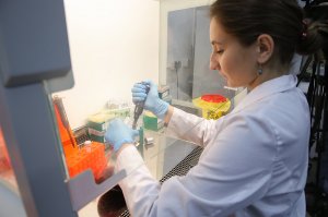 Первые большие поставки вакцины от коронавируса начнутся в сентябре