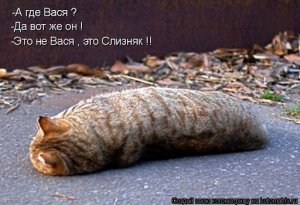 Ефремов:"Может, меня втянули в машину"."Тут моя вина несомненно есть - она в пьянстве. Но всю вину за Великую октябрьскую революцию я брать не собираюсь"