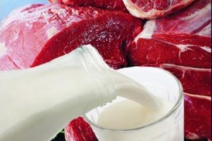Нерыбный год   (Экспорт мяса и молока вырос более чем вдвое)