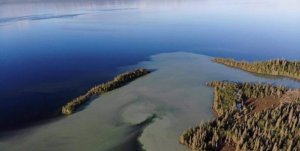 В Мурманской области подтвердили загрязнение водоёмов