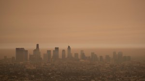 Власти штатов прогнозируют «массовую гибель» американцев в огне. Почему молчит Трамп? Президент США посетит 14 сентября, охваченный лесными пожарами штат Калифорния