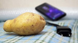 Цены вырастут на всё: от мобильной связи до картошки