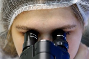 Российские ученые нашли способ создать искусственный кровеносный сосуд
