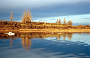 Ученые учтут хроническое загрязнение при подсчетах ущерба от норильской аварии