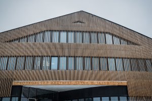 Ученые РФ установили, что мозг запоминает новые слова быстрее, чем считалось ранее