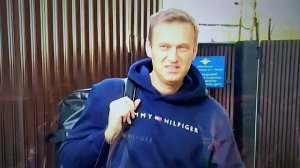 "С каких пор жертвы "Новичка" появляются на публике?": Японцы не поверили в "отравление" Навального