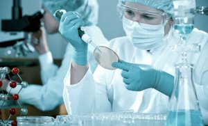 Революционный природный антибиотик выявили российские ученые