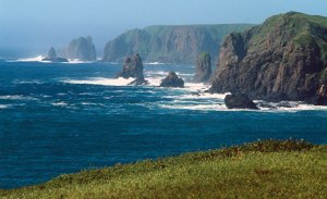 Yahoo News Japan (Япония): «россиизация» «северных территорий» развивается стремительными темпами. На Шикотане началось строительство современных асфальтовых дорог (комментарии)