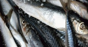 Россия вернула в Латвию 20 тонн селедки, которую заказали в Тбилиси