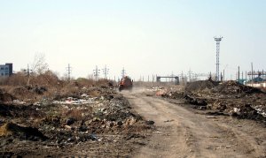 Счетная палата назвала неблагополучной ситуацию с мусором в России