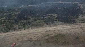 Четвертый день масштабных пожаров на Луганщине: жертвами огня стали 10 человек