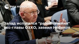 Запад испугался "разоблачений" экс-главы ОЗХО, заявил Небензя