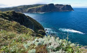 Yahoo News Japan (Япония): как премьер-министру Японии Ёсихидэ Суга общаться с путинской Россией?