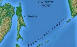 Владимир Путин подтвердил планы постройки моста на Сахалин. Как разведут газ по дальневосточным регионам
