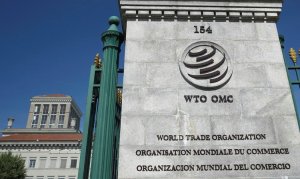 Международному регулятору не понравилось российское импортозамещение в сфере IT. Оно мешает открытому рынку