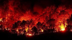 Огненный ад в Сирии: ВКС России подняты по тревоге и брошены в бой со стихией (+ФОТО, ВИДЕО)