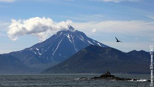 На Камчатке все плохо не в реале, а в блогосфере