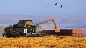 Российский экспорт продукции АПК достиг $20 млрд