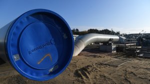 В шведской Умеренной коалиционной партии считают остановку «Северного потока — 2» одной из главных целей