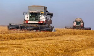 "Здесь русским духом пахнет". Почему Литва покупает российское зерно