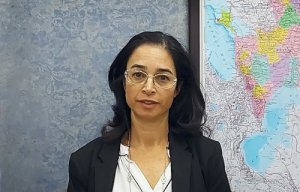 Израильский дипломат: снятие оружейного эмбарго с Ирана узаконивает воинственные амбиции Тегерана