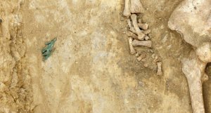 В Сибири нашли скифскую гробницу возрастом 3 тыс. лет