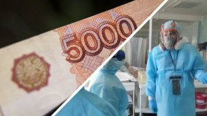 РФ выделила почти 400 млн рублей на помощь ЛДНР в борьбе с COVID-19