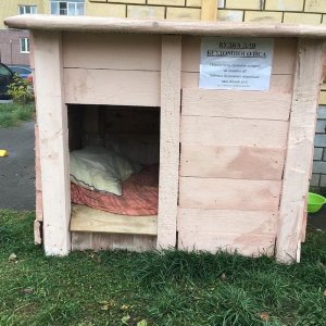 Саровчане (Нижегородская область) строят бездомным собакам будки. Жители надеются, что уличные животные с комфортом переживут зиму