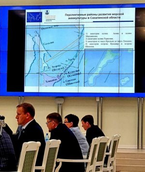 Сахалинского чиновника уволили из-за японской географической карты