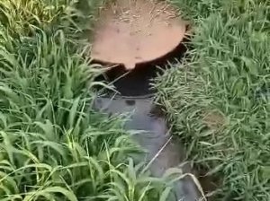 В поселке Соколовка Кировской области несколько лет все сточные воды выливались на огород к местному жителю