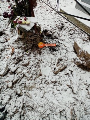 Голодный медведь в поисках пищи разрыл могилы на кладбище в Нижнем Тагиле