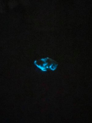 Украинка купила в магазине светящуюся в темноте курицу