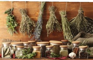 «Алтай Вистерра»