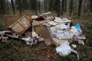 В Кирове у трассы Подгорянка-Шихово обнаружена свалка с медицинскими отходами