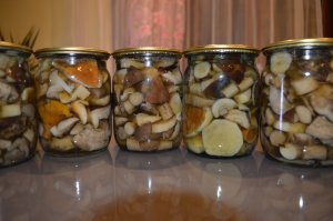 В России грибы получили статус сельхозпродукции