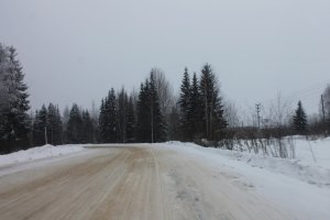 ОНФ в Коми добивается ремонта дороги в Усть-Цилемском районе
