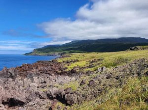 Чьи Курильские острова по принципу "ЭСТОППЕЛЬ"?