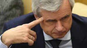 Депутат-единоросс удивился мечтам россиян о комфортной пенсии