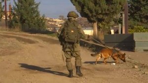 В Карабахе за сутки обезвредили 104 взрывоопасных предмета