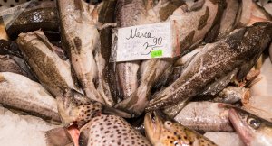 В Латвии умирает целая отрасль: латышские рыбаки уезжают в Россию, не говоря по-русски