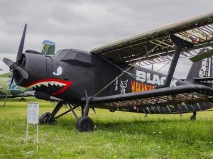 Пентагон решил приобрести «кукурузник» Ан-2