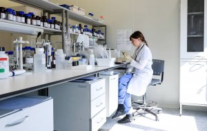 В Казахстане с 22 декабря начнется производство российской вакцины "Спутник V"