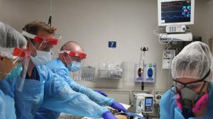 Более 192 тыс. случаев коронавируса выявили за сутки в США