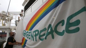 Глава комитета Госдумы призвал признать Greenpeace нежелательной в России организацией