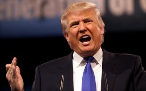 В Saxo Bank допустили возможность возвращения Трампа на пост президента